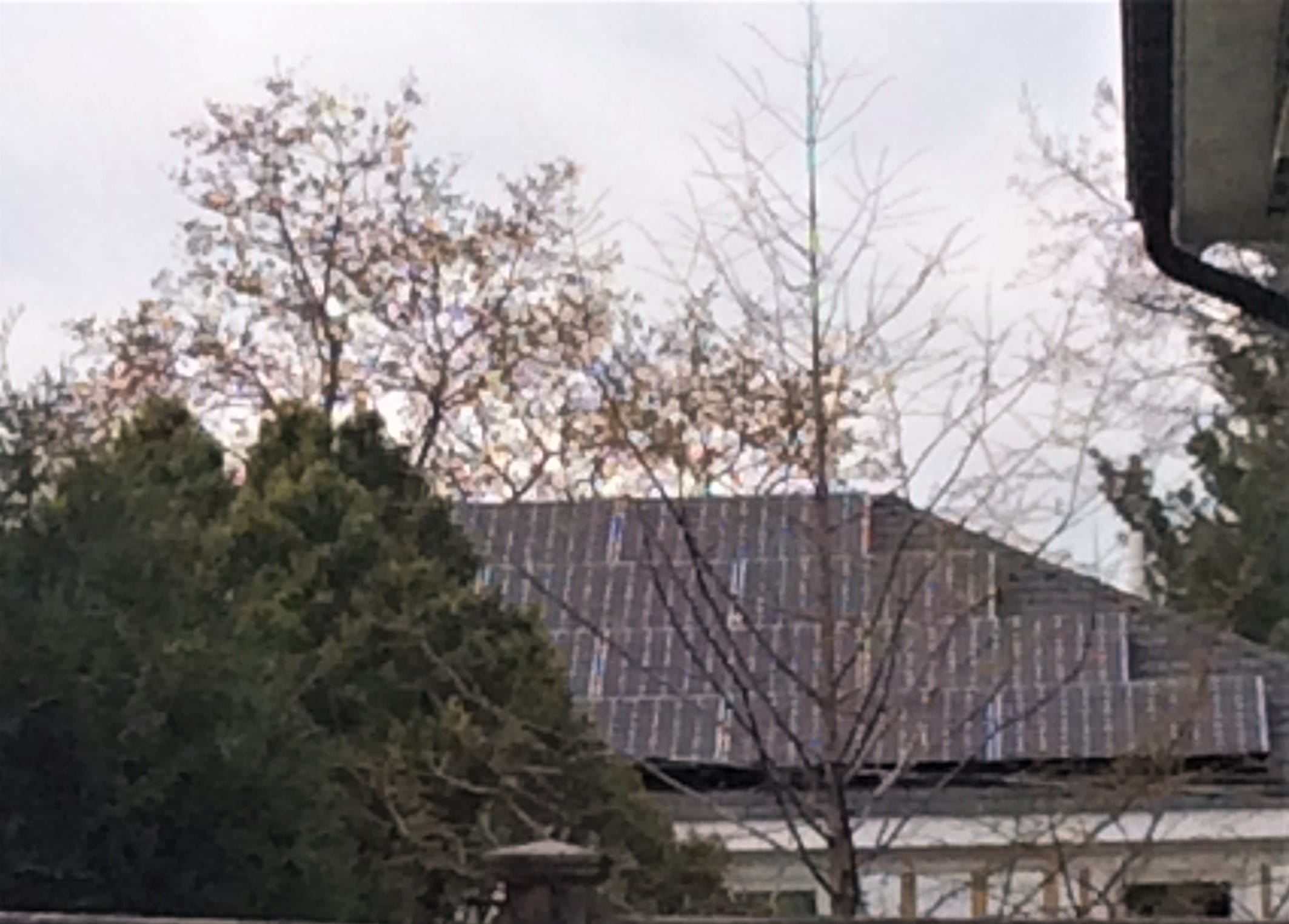 Alpine Street Solar Installation Photo